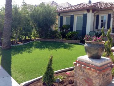 Artificial Grass Photos: Fake Pet Grass Malibu Beach California Lawns